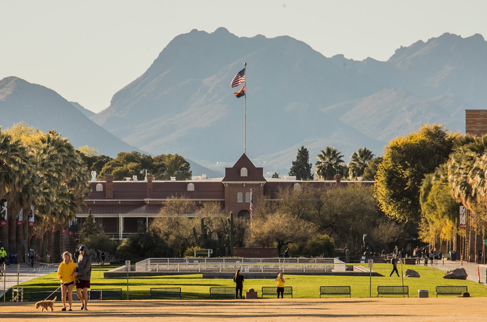 アリゾナ大学