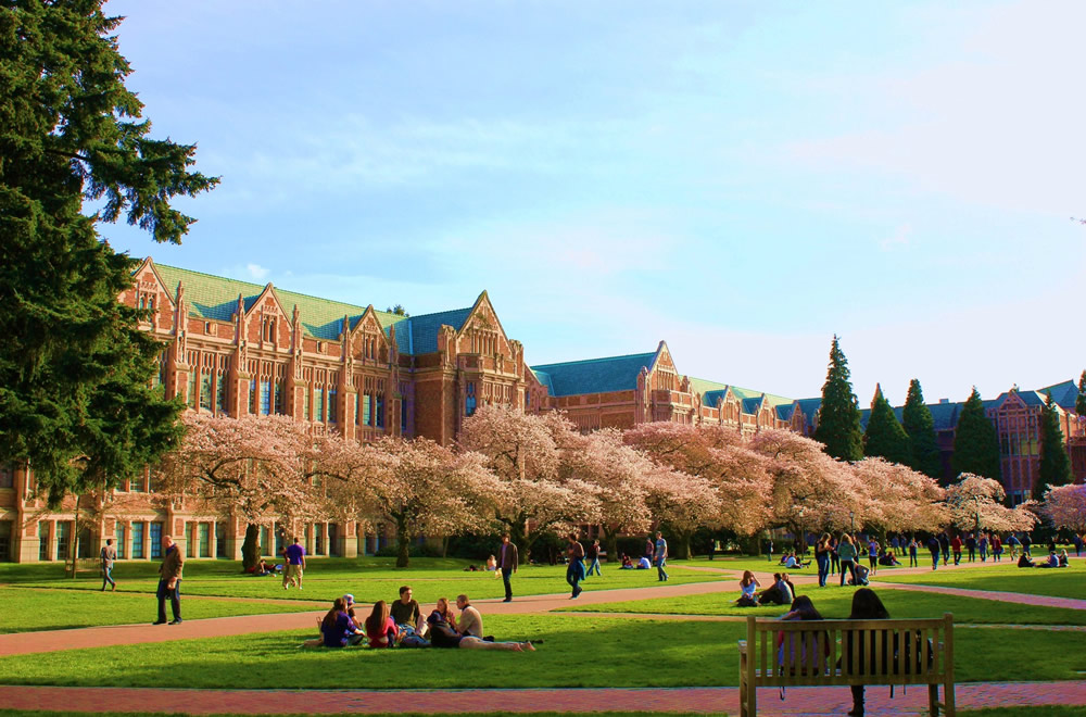 ワシントン大学