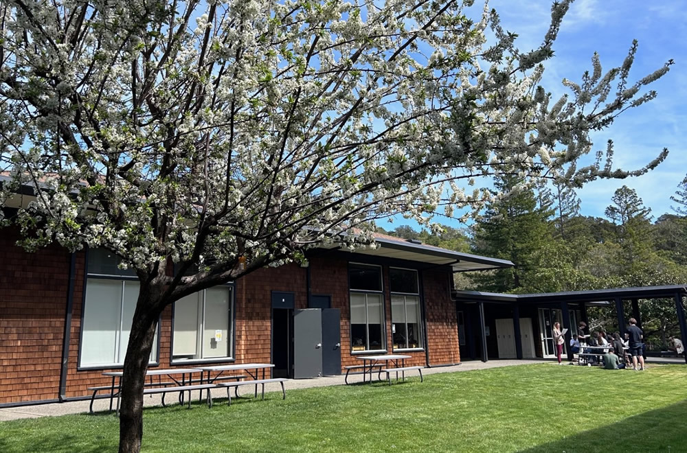 サン・ドミニコ・スクール